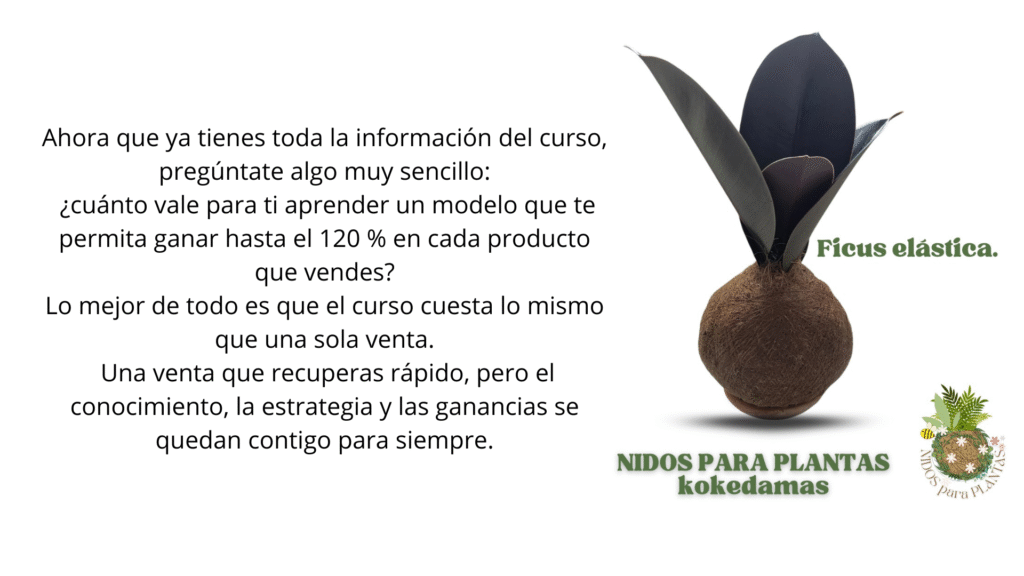 curso para emprendedores